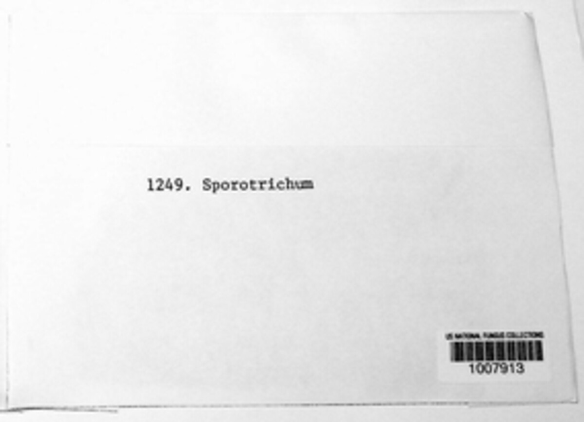 Sporotrichum image